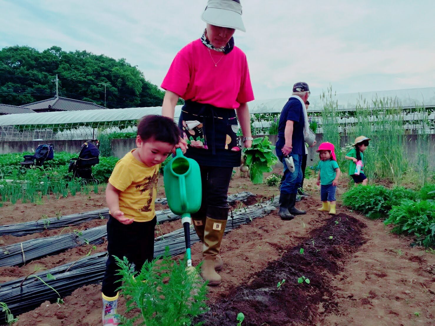 畑・野外活動体験