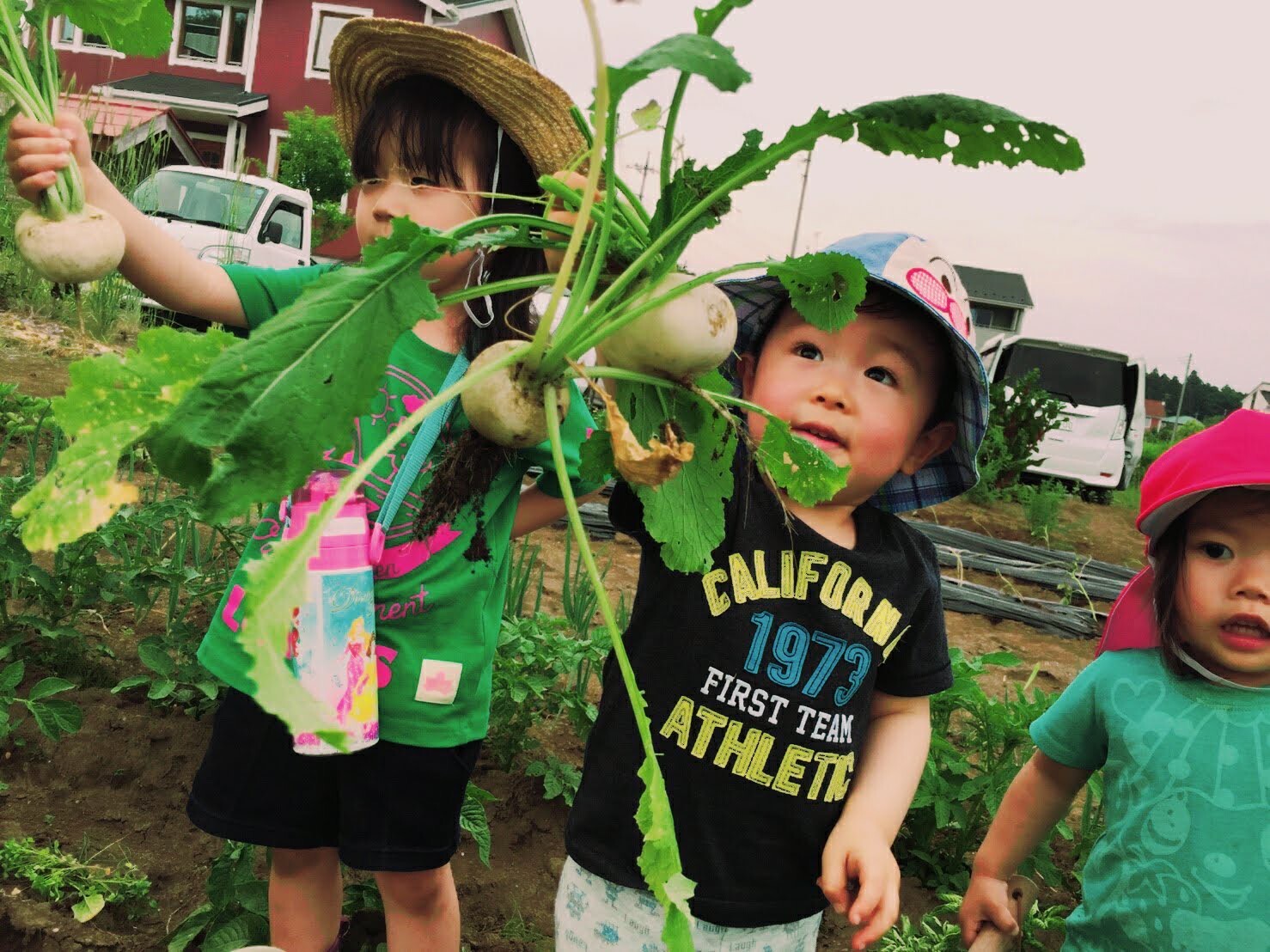 畑・野外活動体験